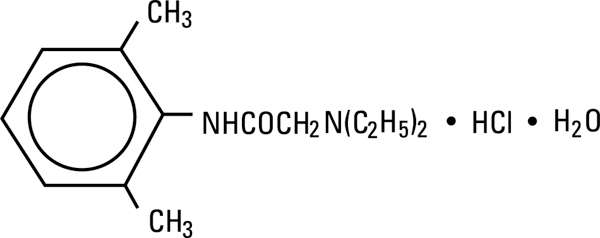 V15597-20 SPINAL 25G WHITACRE